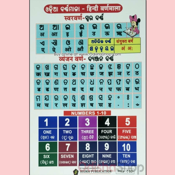 Buy Odia Kids Book My First Book Of English Alphabets - Odisha Shop